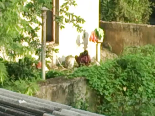 Gerla si-a intins pa ...