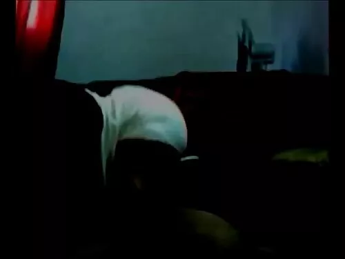Domnul încântat a în ...